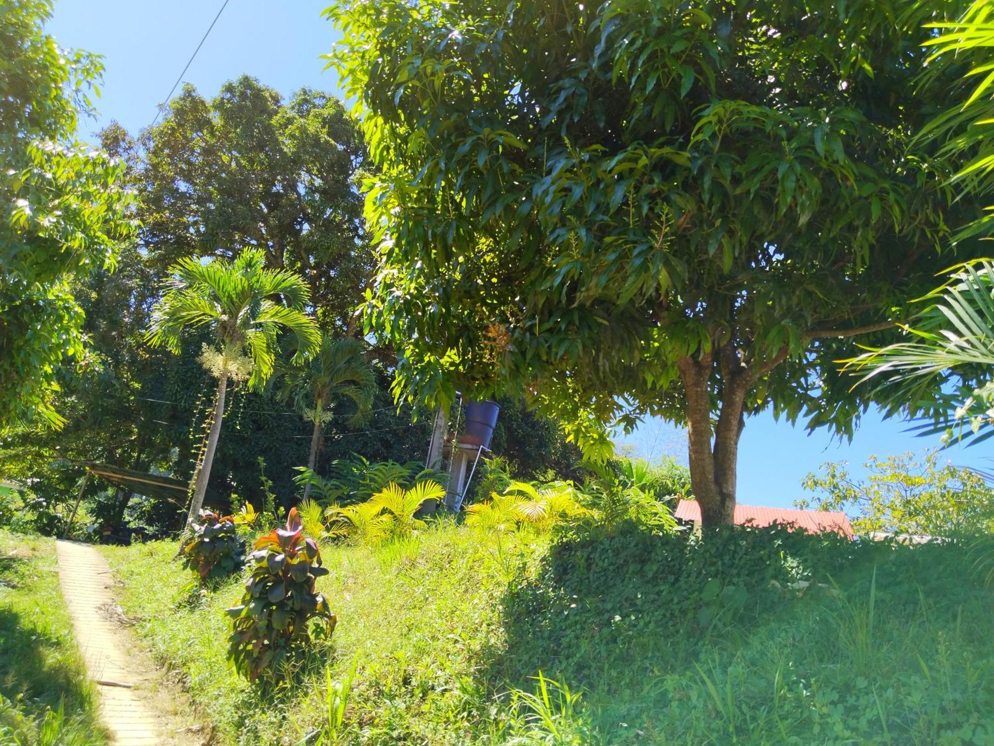 Casa Magica Villa Minca Luaran gambar